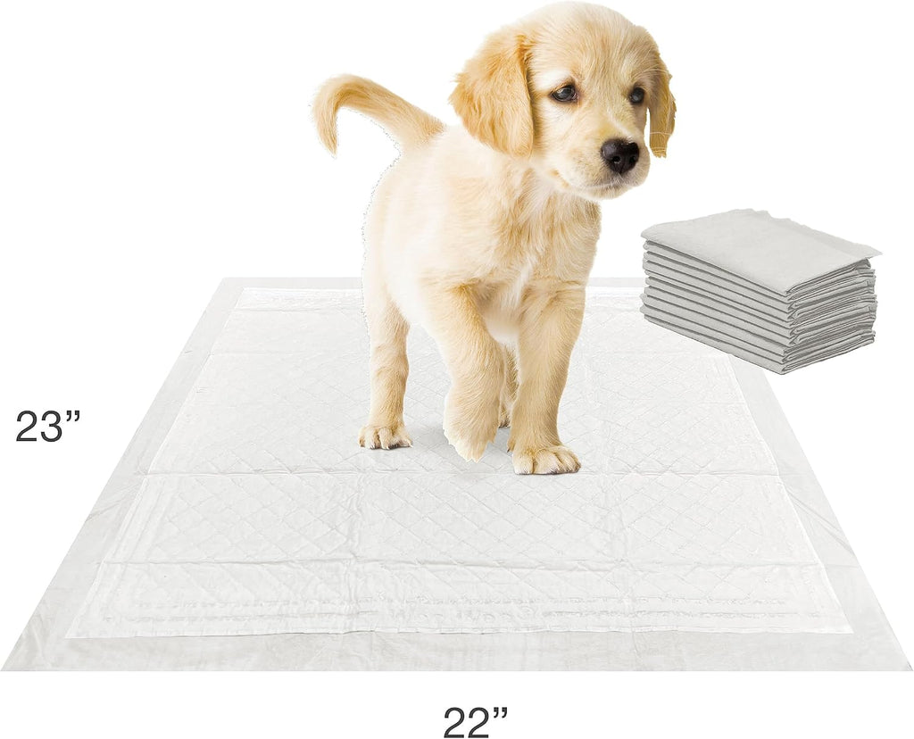 Four Paws Wee-Wee Insta-Rise Super Absorbent Pee Pads for Dogs, 10 Count