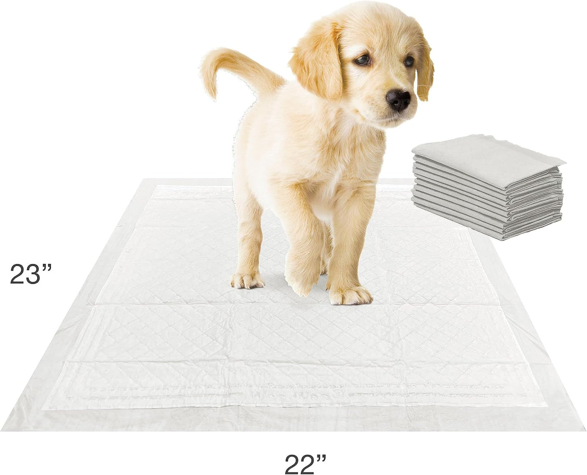Four Paws Wee-Wee Insta-Rise Super Absorbent Pee Pads for Dogs, 10 Count