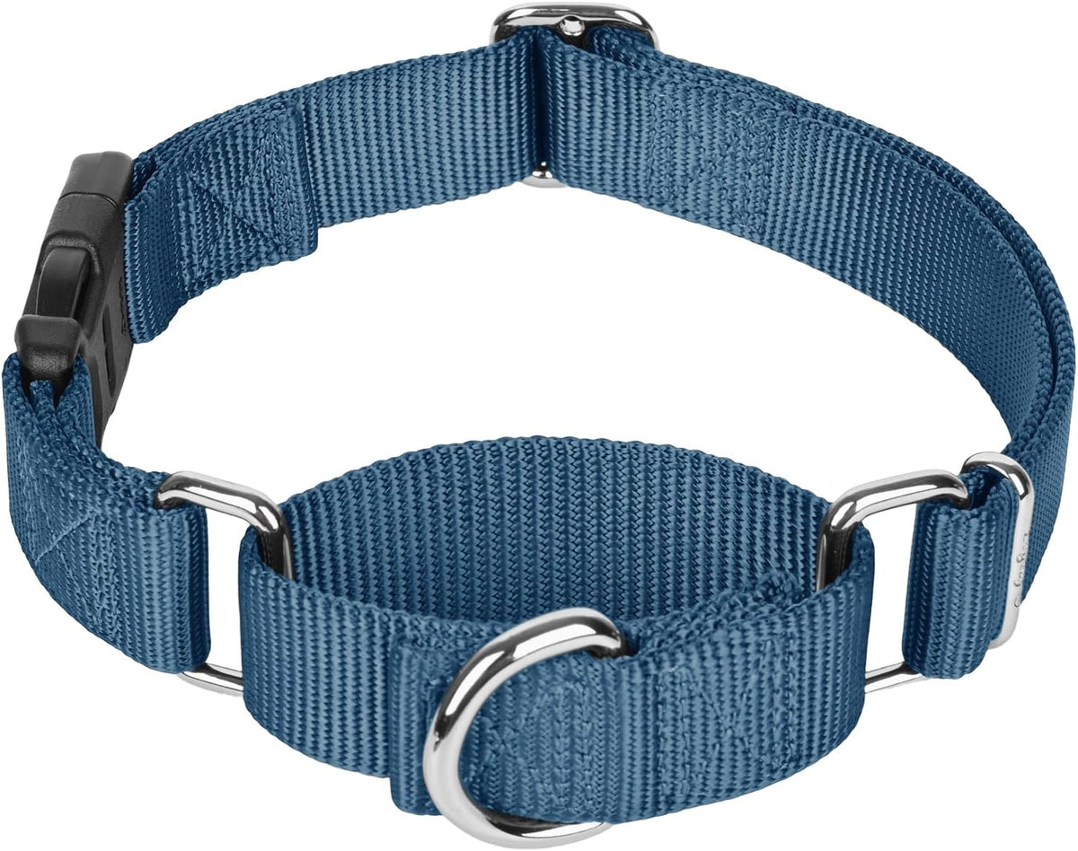 Martingale Collar with Quick Release Buckle for Medium Large Dog