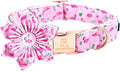 Lionheart Glory Valentine's Day Collar by LionheartGlory