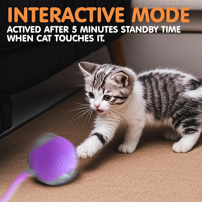 Rocfish Durable Interactive Cat Toys - Image 6