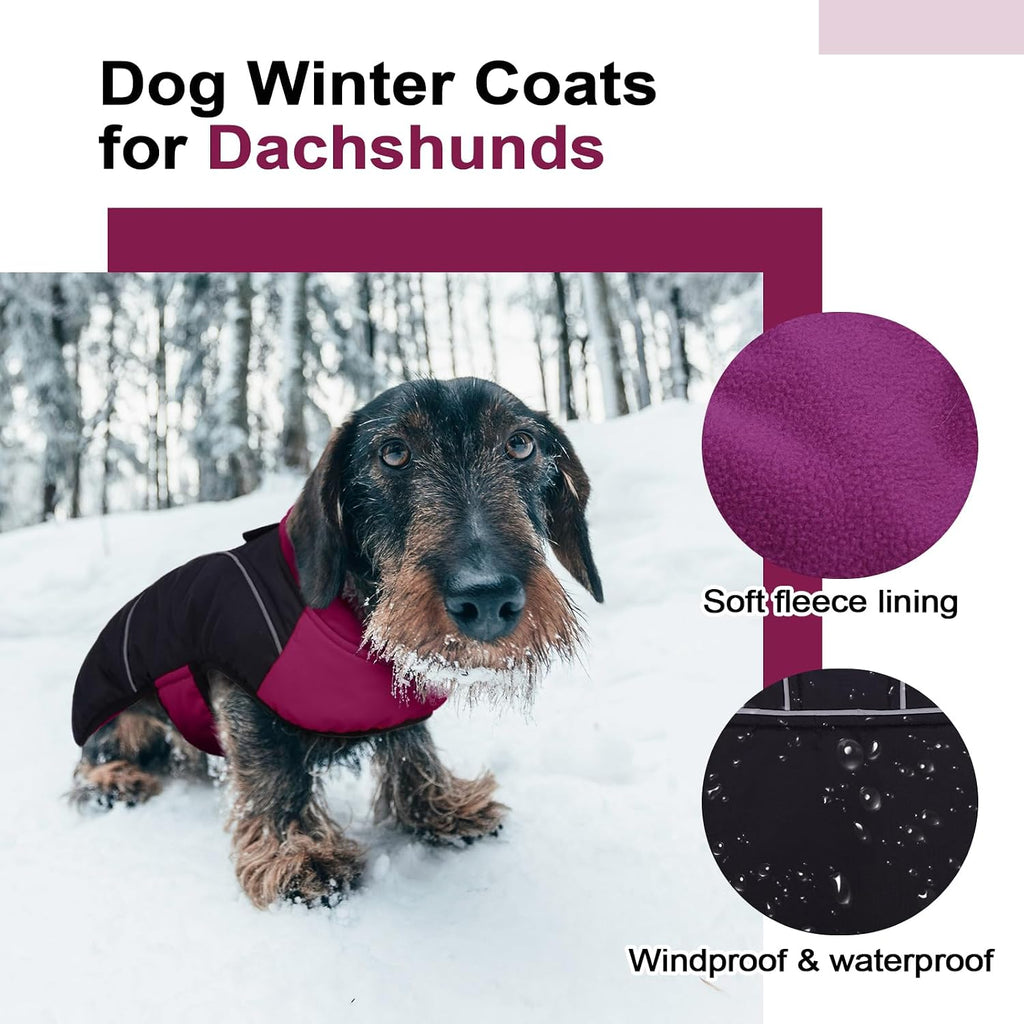 Lelepet Dachshund Coat Waterproof Reflective Dog Coat for Small Dogs