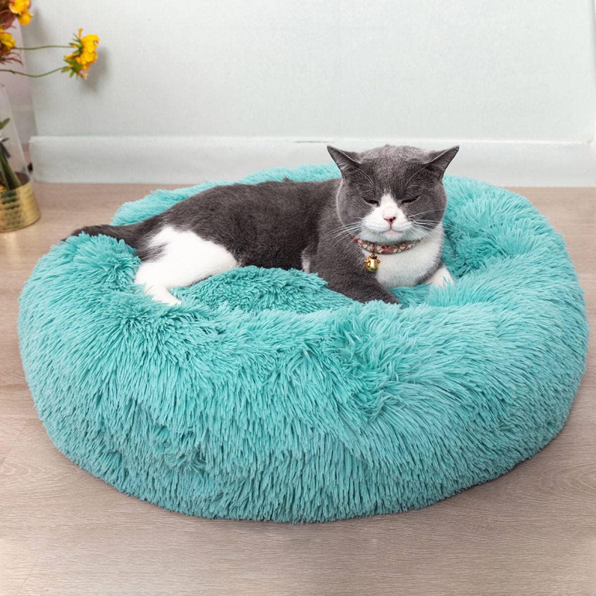 Cat Beds for Indoor Cats - Cat Bed Washable 20 inches, Dog Beds for Small Medium Dogs, Anti Anxiety Round Fluffy Plush Faux Fur Pet Bed, Thick Bottom (Dark Grey, Medium)