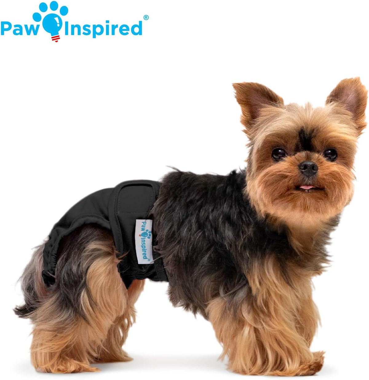 Paw Inspired Washable Dog Diapers, Black with Black Lining, XS Size, 3 Pack