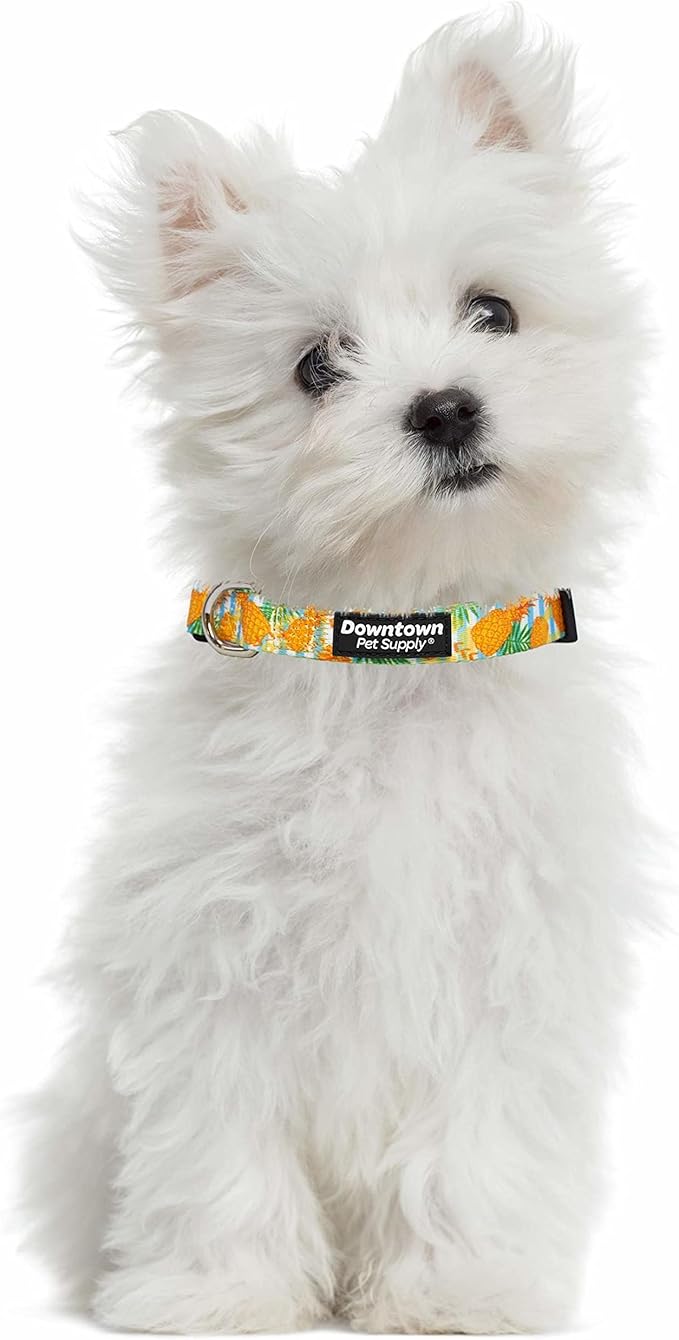 Downtown Pet Supply - Image 4