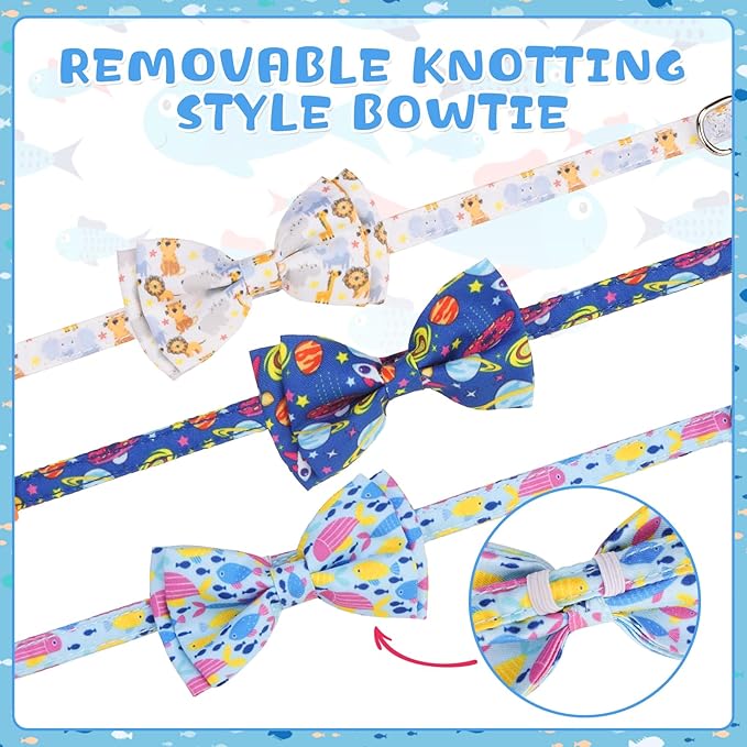 KOOLTAIL Boy Cat Collar Breakaway - Image 6