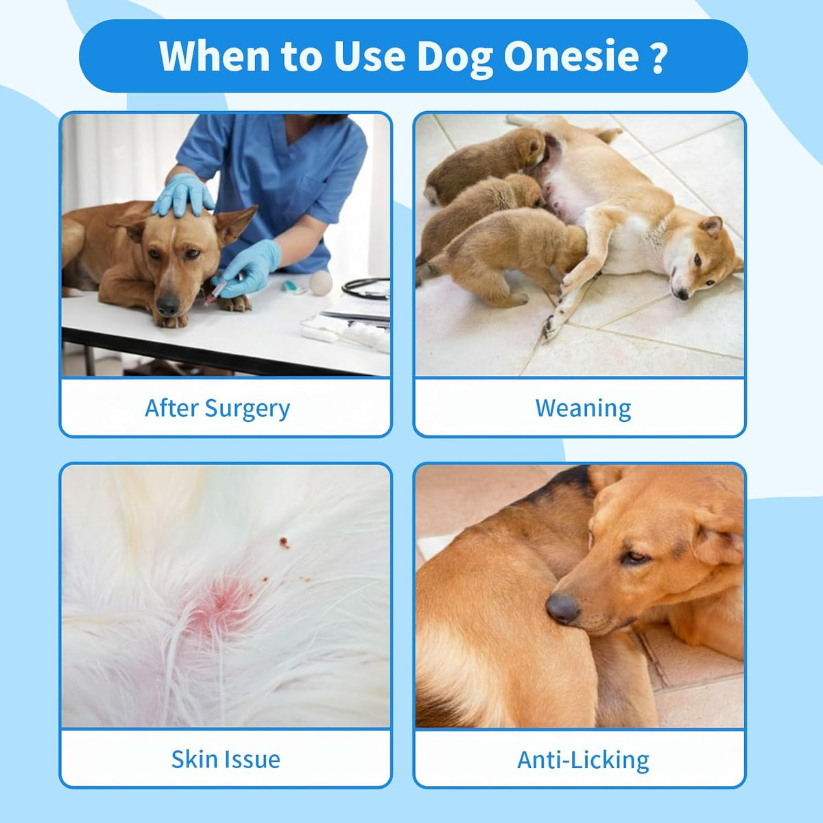 Coppthinktu Recovery Suit for Dogs After Surgery, Breathable Dog Onesie