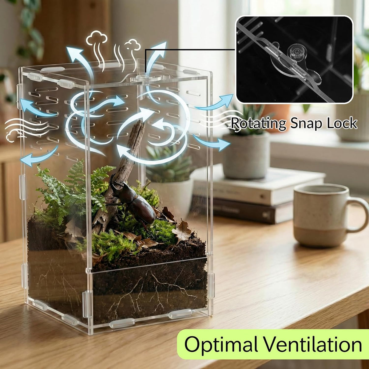 9.8 Inch Jumping Spider Enclosure, Desktop Micro Terrarium, Breeding Box, 360° Clear Acrylic Insect Habitat, 3-Side Ventilation, Easy Assembly, for Mantis, Tarantula, Snail, Small Reptiles, Plants