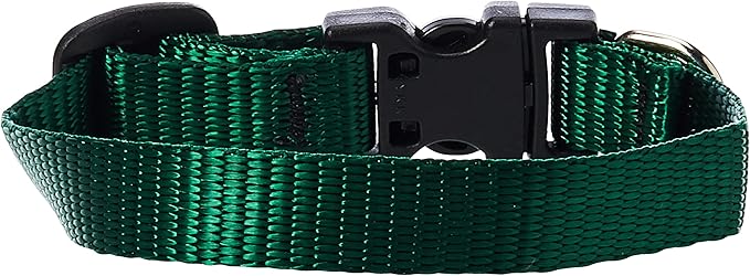 LupinePet Basics 1/2" Green 6-9" Adjustable Collar - Image 2