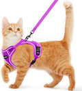 Cat Harness and Leash for Walking Escape Proof Soft Adjustable Cat Leash by Unknown