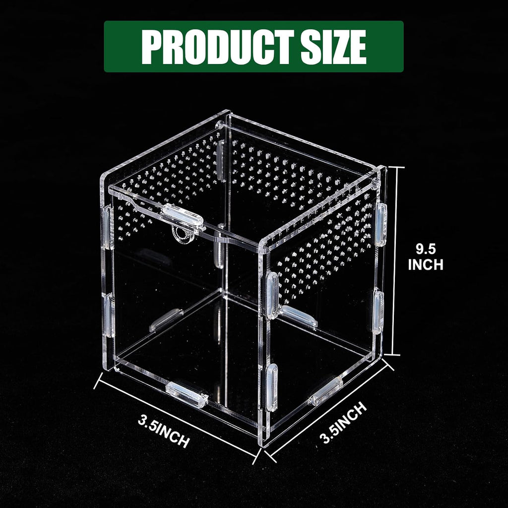 Jumping Spider Small Terrarium 3.5×3.5×9.5 Inch Acrylic Enclosure