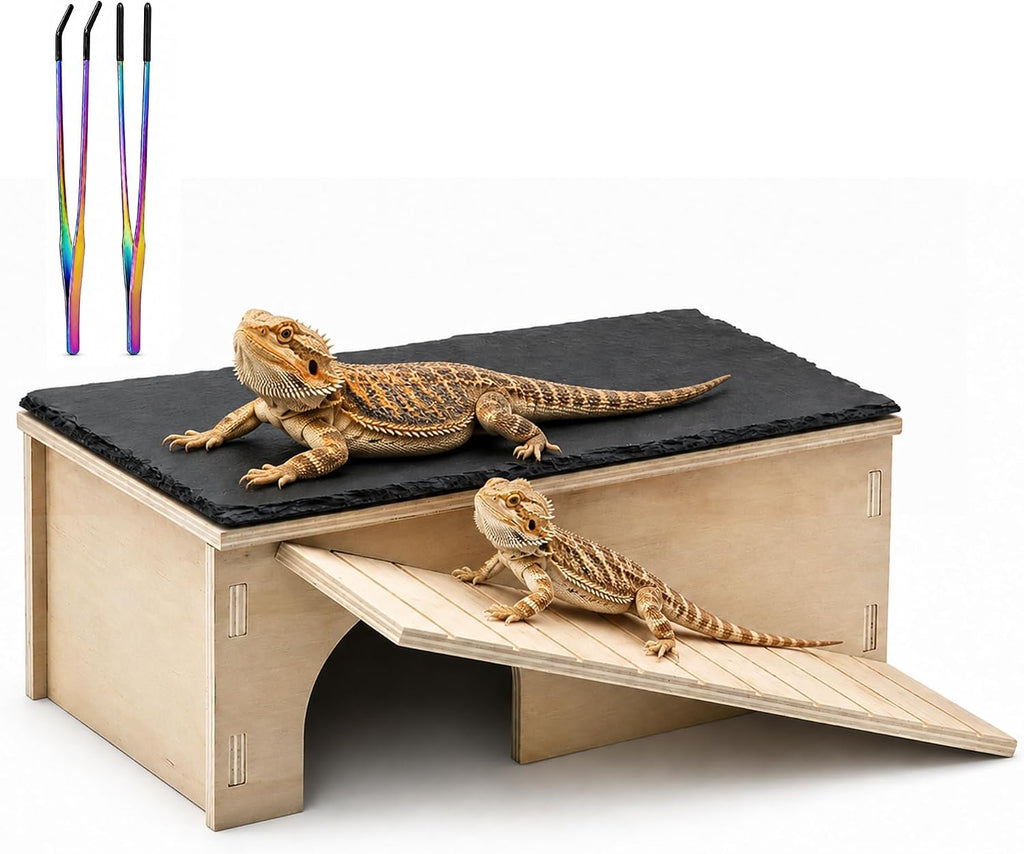 Bearded Dragon Basking Platform with Slate Rock (12.99 * 7.09 * 4.72in)