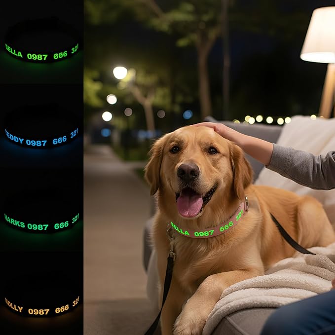 DOG WORLD Custom Fluorescent Dog Collar - Image 2