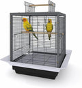 Bird Flight Cage 16 x 16 x 20 Inch, Wrought Iron Parrot Cage by Unknown