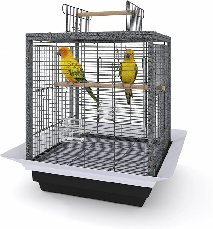 Bird Flight Cage 16 x 16 x 20 Inch, Wrought Iron Parrot Cage by Unknown