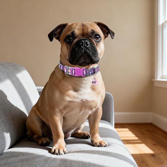 Floral Small Dog Collar with Bell - Image 5