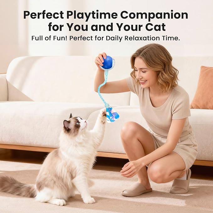 Rocfish Durable Interactive Cat Toys - Image 8