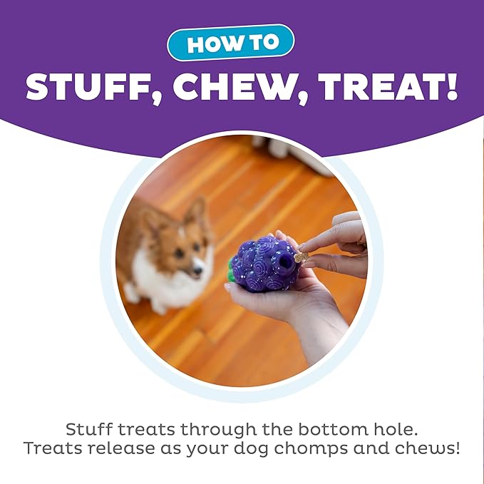 Outward Hound Dental Grapes Dog Toy & Treat Stuffer, 6″ x 3″ Grape-Scent - Image 4