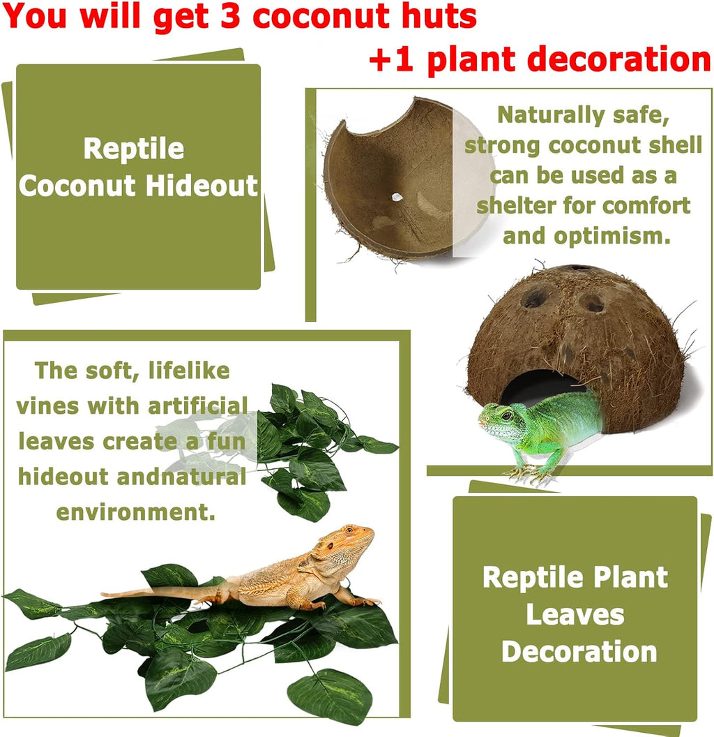 Reptile Hideouts Natural Coconut Shells Hut Hermit Crab Climbing Toys and 2PCS Reptile Feeding Box Snake Breeding Box Transparent Animal Habitat for Bearded Dragon Lizard Spider Frog Scorpio