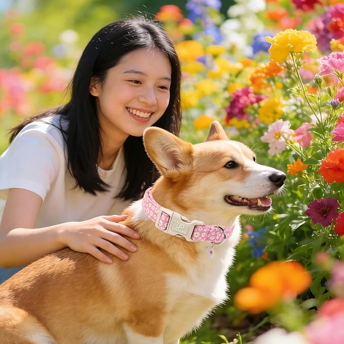 Daisy Dog Collar, Summer Cotton Dog Collar - Image 5