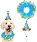 Lionheart glory Birthday Dog Collars by LionheartGlory