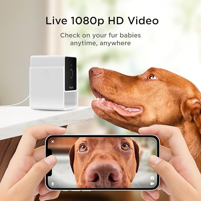Petcube Cam The Pack of 2 | Indoor Wi-Fi Pet Security Camera - Image 2