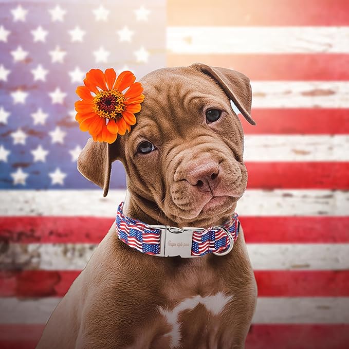 Unique style paws Independence Day Dog Collar Metal Buckle Wave Flag Collar - Image 4