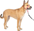 PetSafe Gentle Leader No Pull Dog Headcollar, Red, Medium