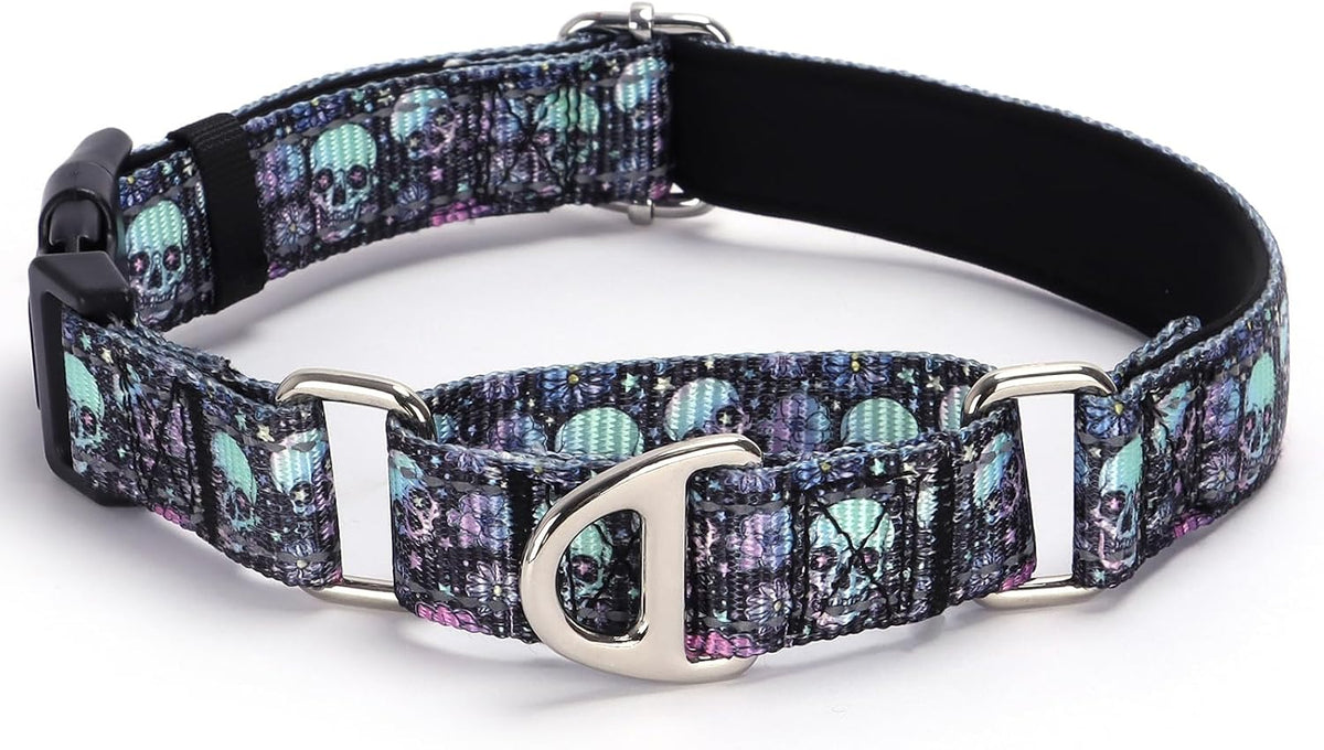 Reflective Skull No Slip Choke Collar with Padded Quick Release Buckle-M