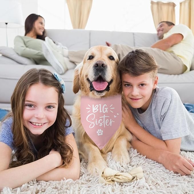 Big Sister Dog Bandana Pregnancy Announcement Gender Reveal Baby Announcement - Image 6