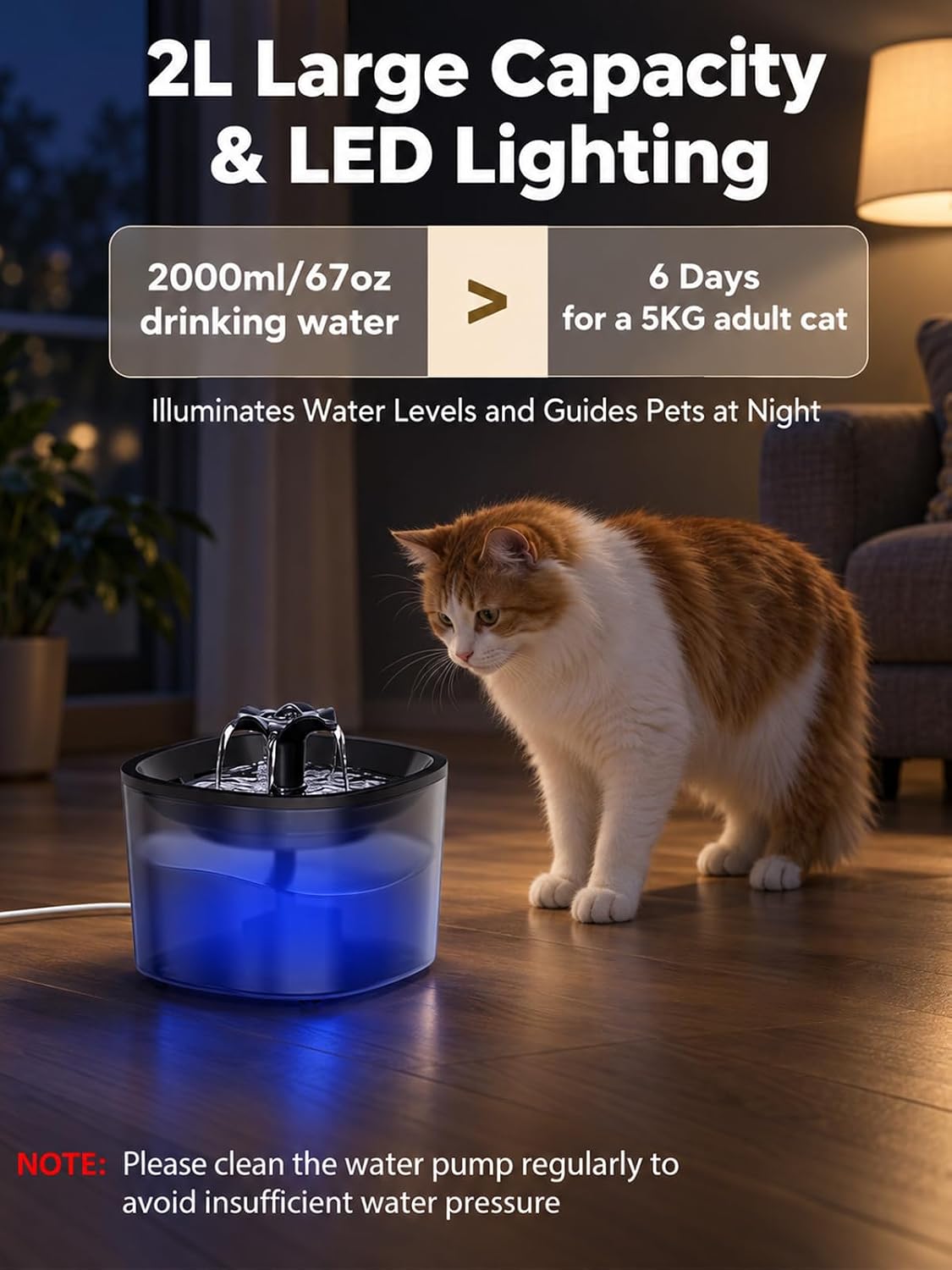 Automatic Cat Feeder and Cat Water Fountain, Timed Dry Food Dispenser