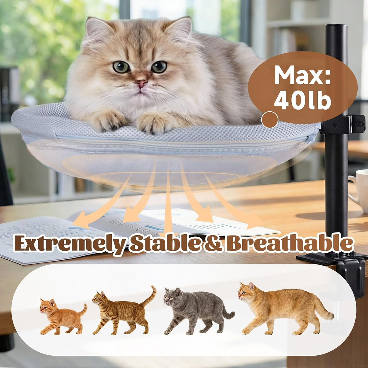 Cat Desk Bed with Interactive Hanging Ball