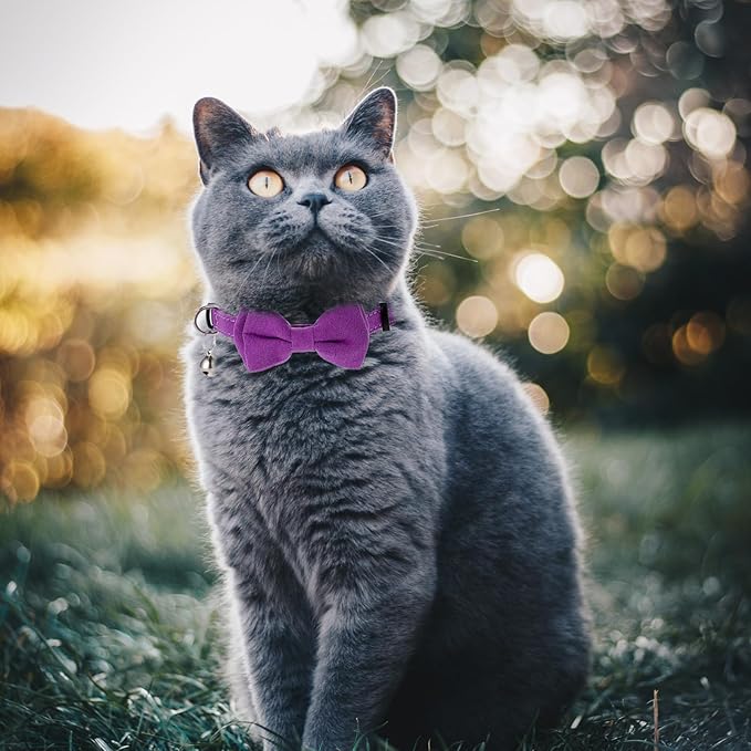 2 Pcs Kitten Collar with Bell Cute Cat Collar - Image 3