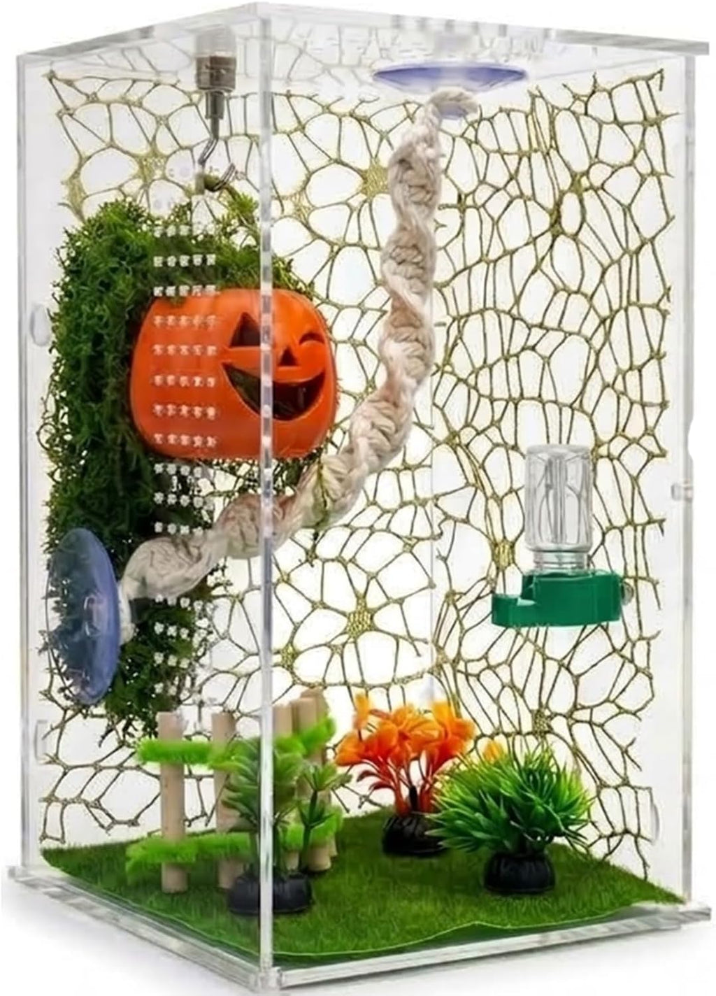 8-piece Jumping Spider Habitat Decoration Set, Pumpkin Hideout
