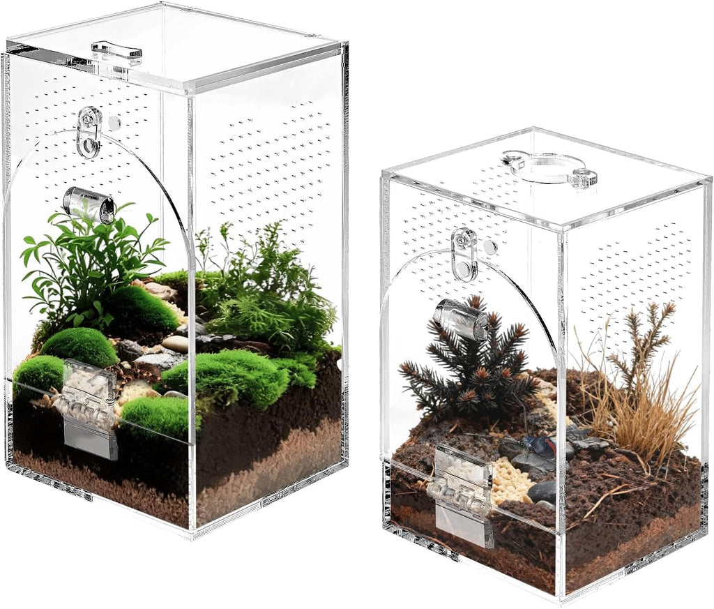 Set of 2 Jumping Spider Enclosure