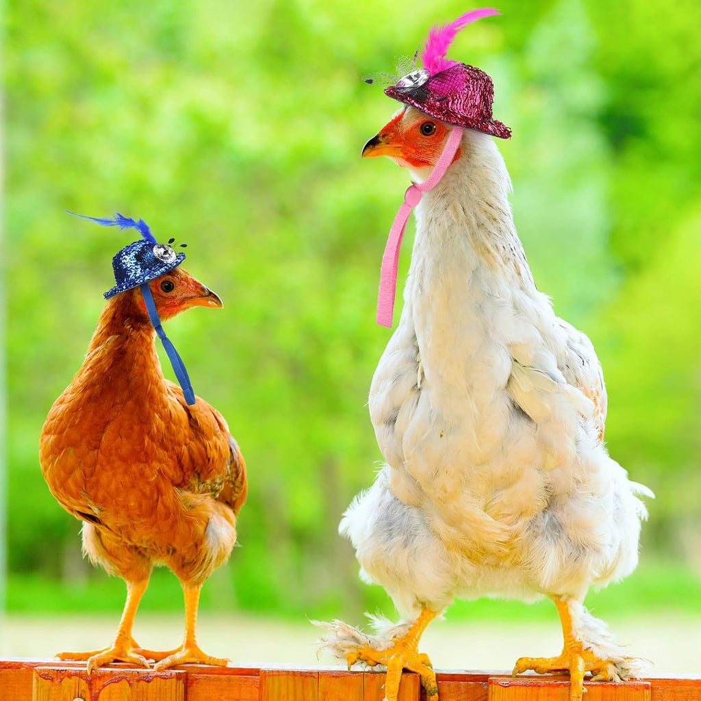 Zhanmai 9 Pcs Chicken Harness and Leash for Hens, Chicken Accessories, L