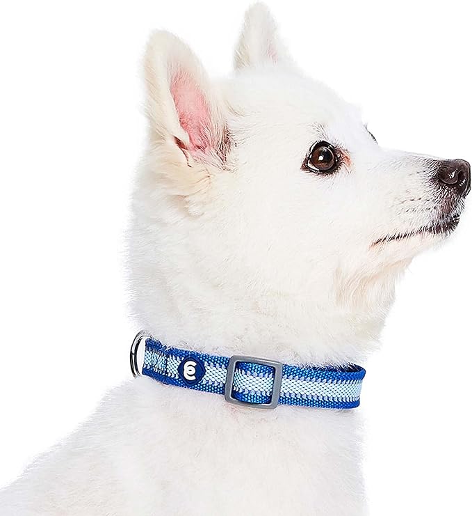 Blueberry Pet Medium Dog Collar in Reflective Navy Blue | Adjustable Classic - Image 4