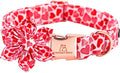 Lionheart glory Valentine's Day Dog Collar by LionheartGlory