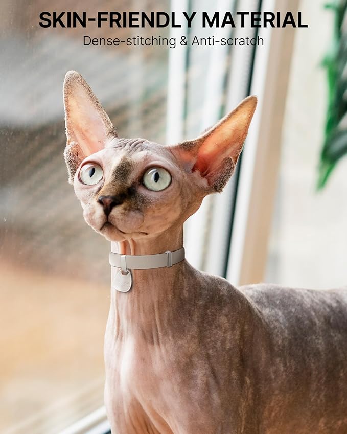 Cat Collar with QR Code Name Tag, Breakaway Kitten Collar - Image 5