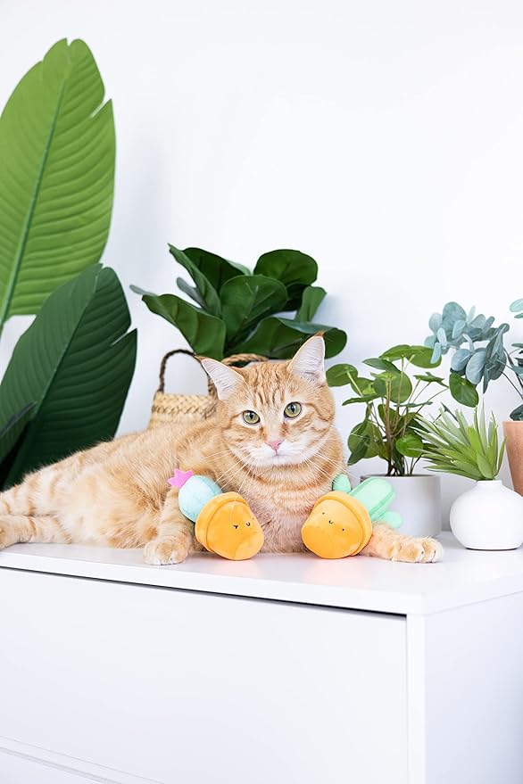 Pearhead Prickly Plants Cat Toy Set, Cute Catnip Toys, Plush Cactus Interactive - Image 2