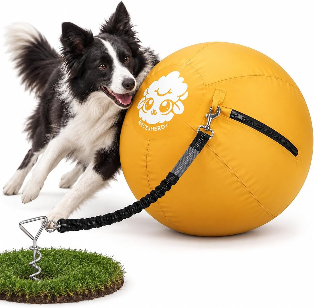 Race&Herd 22" Dog Tetherball — Herding Ball with Ground Stake (Gold)