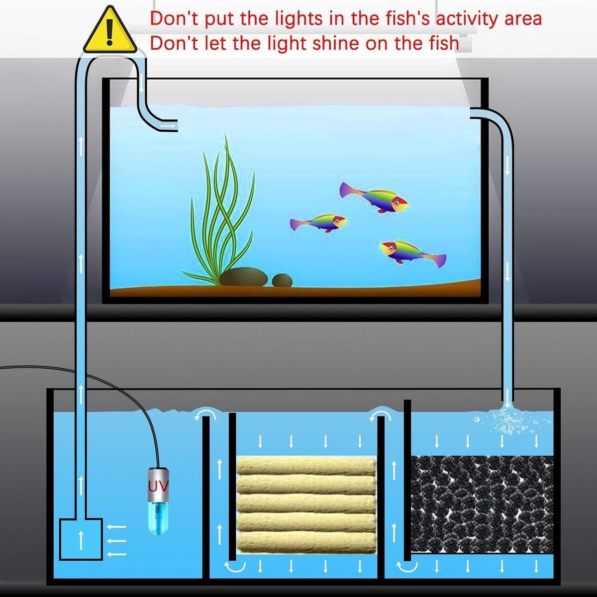 Aquarium Clean Light，3 W mini Submersible Algae Removal Light with Timer,Aquarium Water Clean Green Clear Waterproof Clean Light for Pond,Swimming Pool