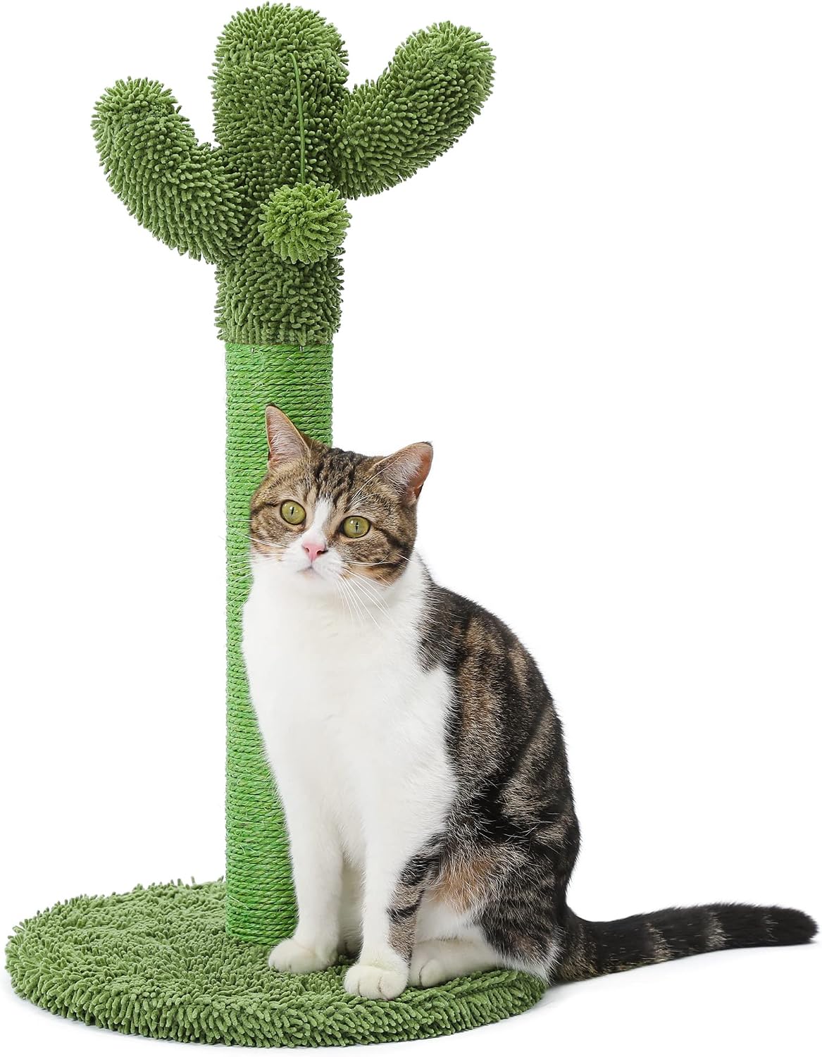 Made4Pets Cactus Cat Scratching Post for Small Indoor Cats & Kittens, 21.7"