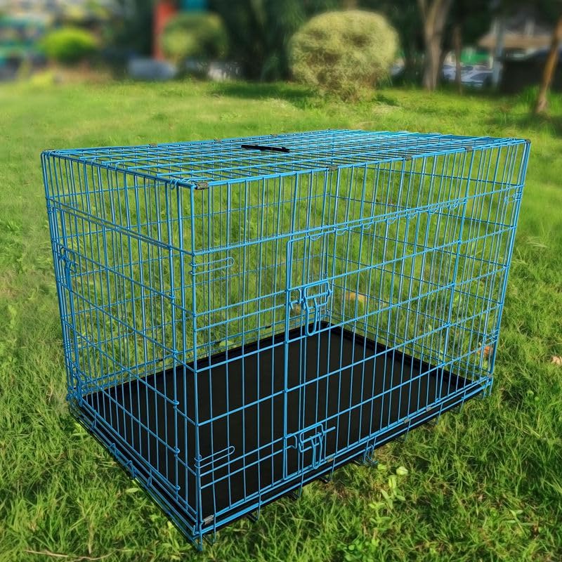 48-Inch Folding Metal Dog Crate for Medium, and Large Breeds – Double-Door Kennel with Divider, Removable Tray, and Carry Handle – Ideal for Indoor and Outdoor - Blue