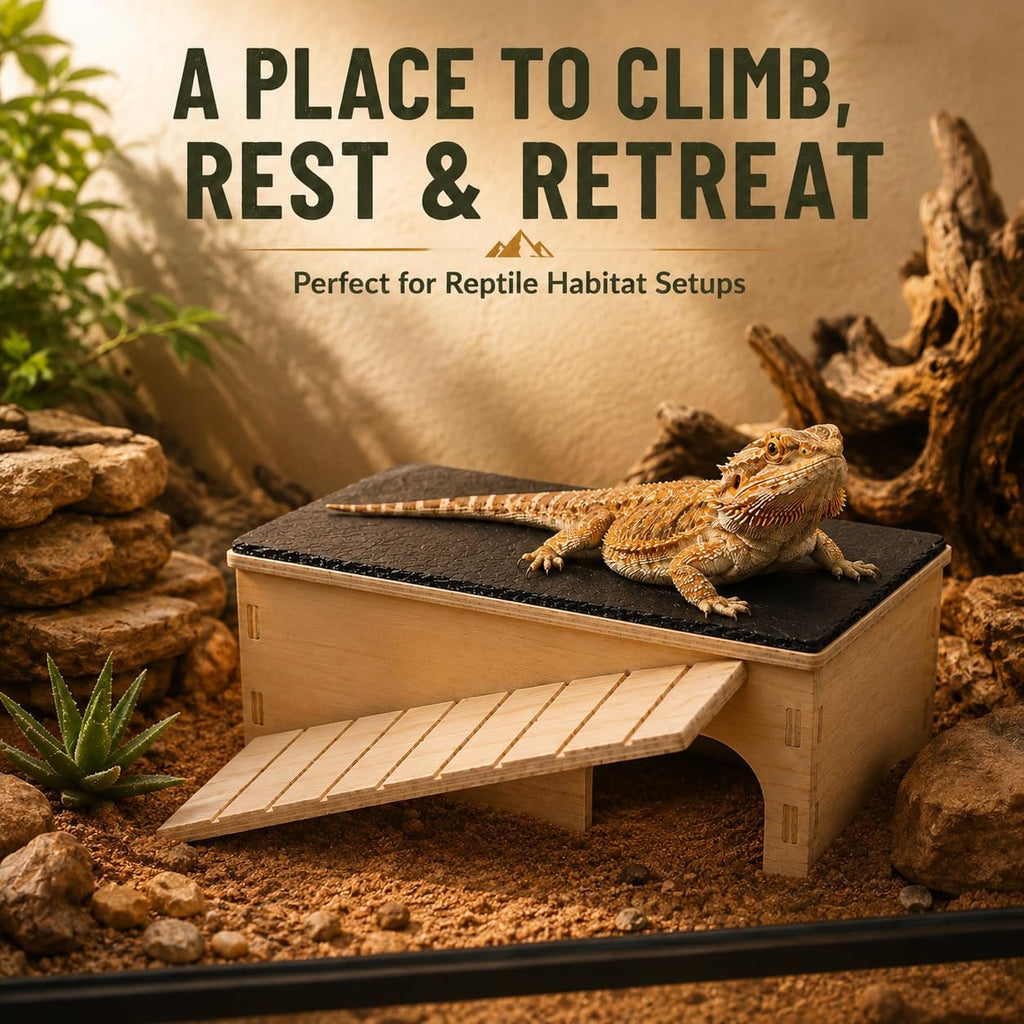 Bearded Dragon Basking Platform with Hideout Ramp & Slate Top