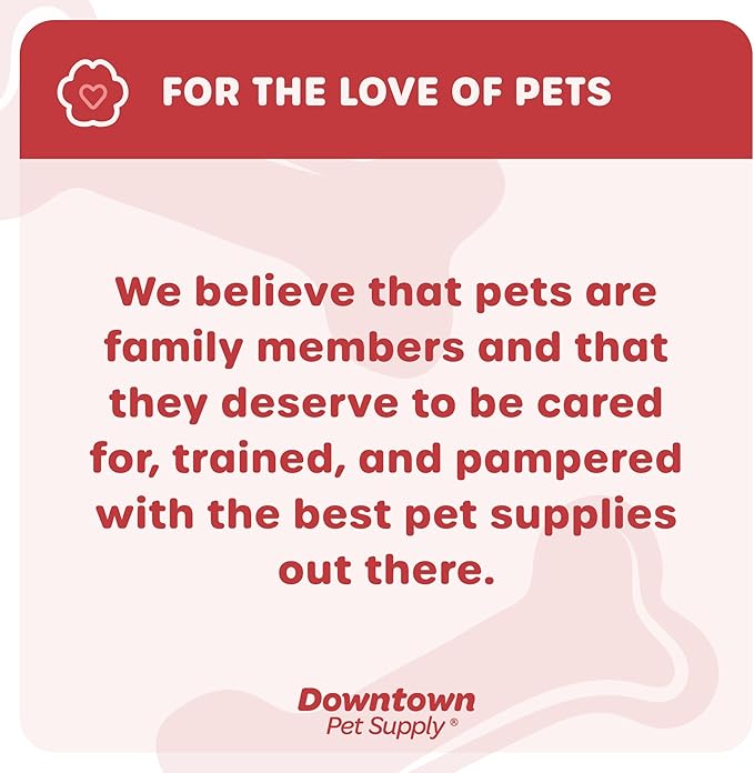 Downtown Pet Supply Step in Dog Harness No Pull, Titanium - Image 8