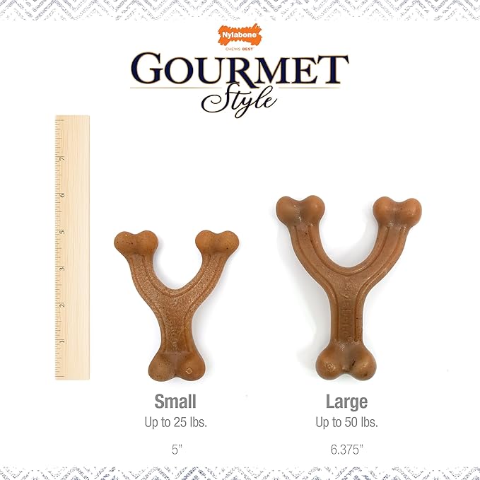 Nylabone Gourmet Style Wishbone Strong Chew Toy - Image 4