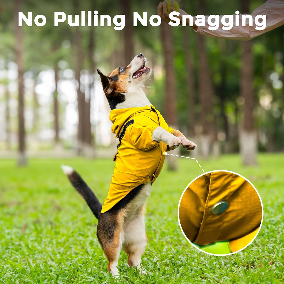 JoyDaog Dog Raincoat with Hood, Waterproof Dog Rain Jacket for Small Dogs