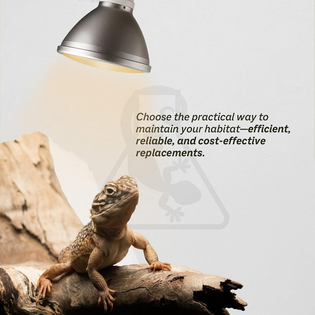 Reptile Systems Replacement Bulb Eco Halogen White Spot Lamp – White 100w, 2 Count – Replacement Bulb Kit for Reptiles & Amphibians – Light for Tanks, Vivariums & Crested Geckos