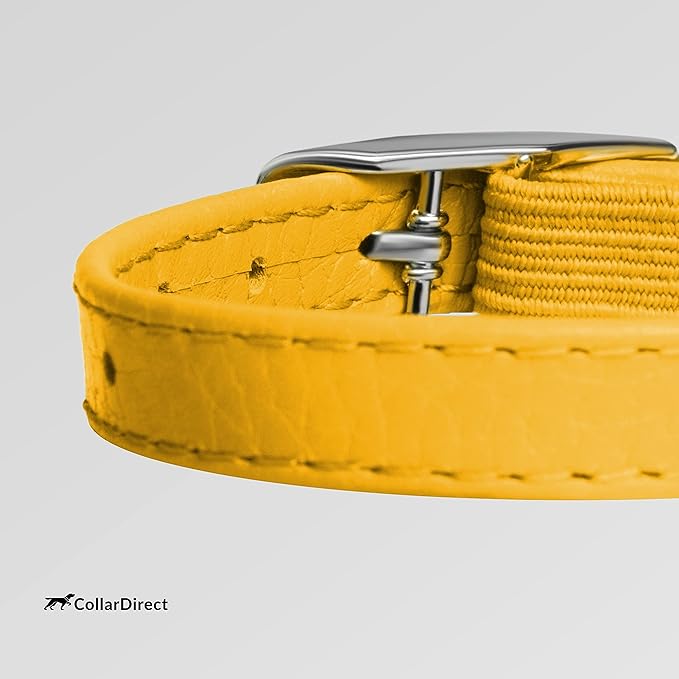 CollarDirect Leather Cat Collar, Cat Safety Collar - Image 3